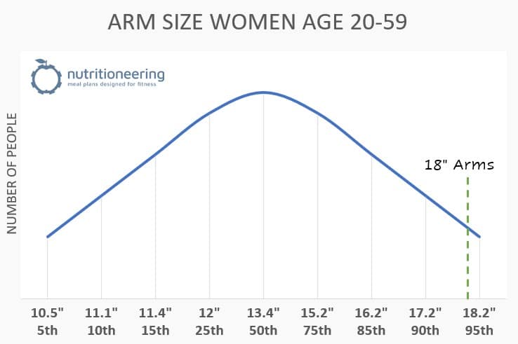 18 Inch Arms Percentiles Women