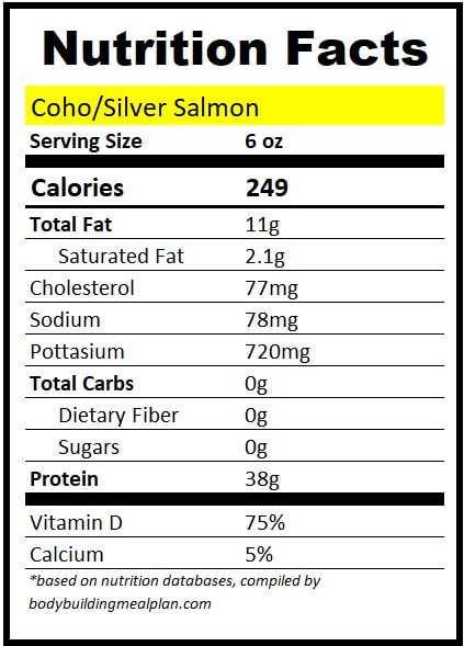 6 oz Salmon Protein Coho Silver