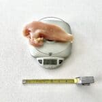 8 oz Chicken Breast Size
