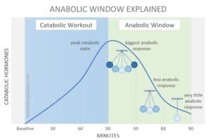 Anabolic Window Cover