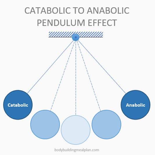 Anabolic Window Pendulum Effect