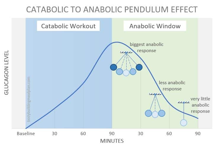Anabolic Window