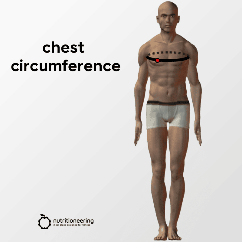 Average Chest Circumference Men
