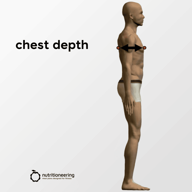 Average Chest Size Measurements