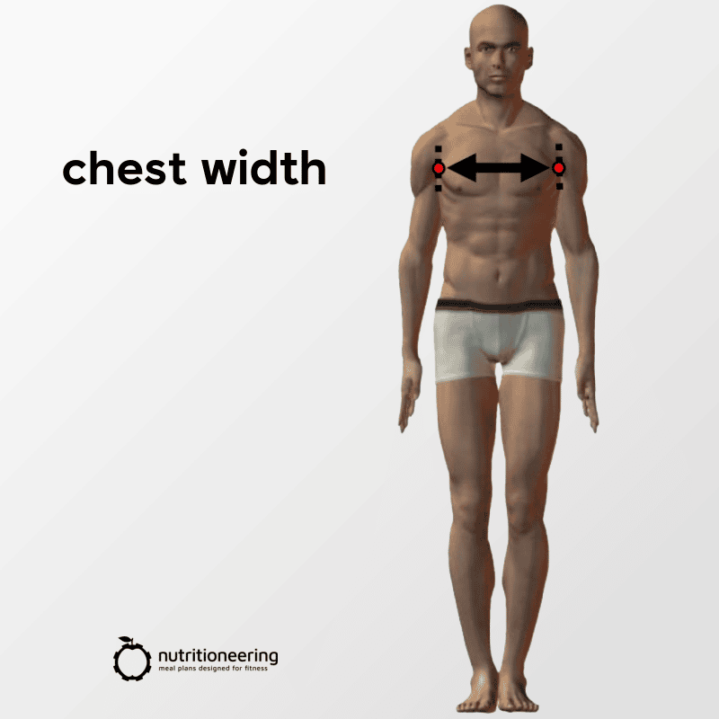 Average Chest Size Men