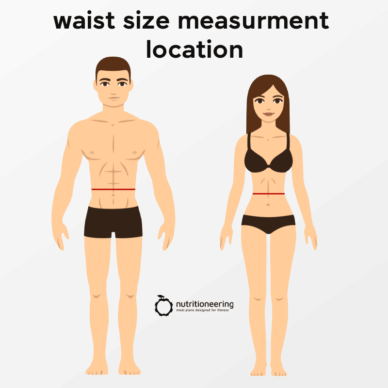 Average Waist Size Measurement 23 Inch Waist Measurement