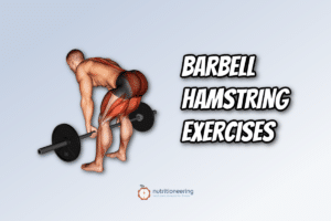 Barbell Hamstring Exercises