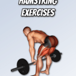 Barbell Hamstring Exercises Pinterest