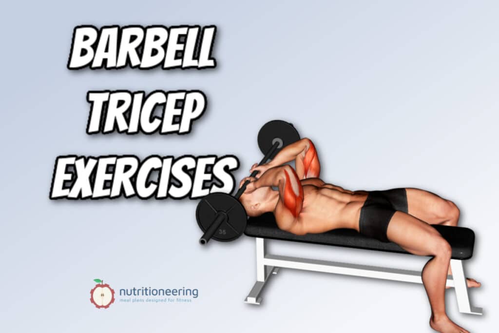 Barbell Tricep Exercises