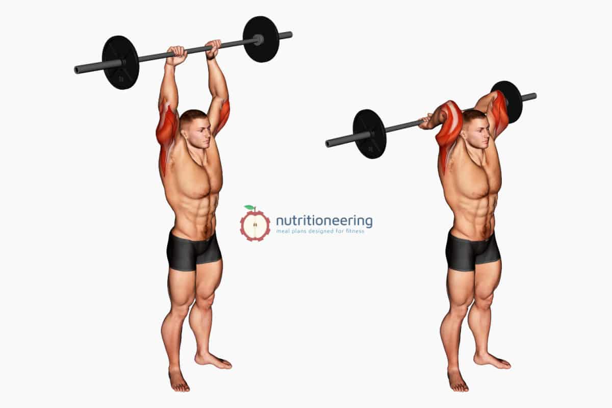 Barbell Tricep Exercises French Press Barbell Tricep Exercises French Press