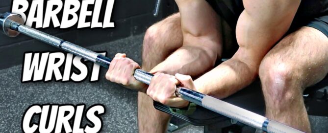 Barbell Wrist Curl