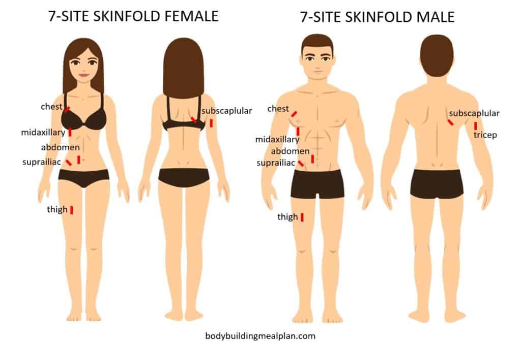 Body Fat Percentage Calculator Caliper Male Female