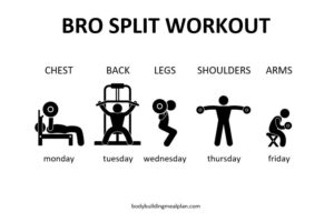 Bro Split Workout