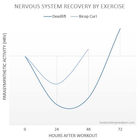 Bro Split Workout Nervous System Recovery
