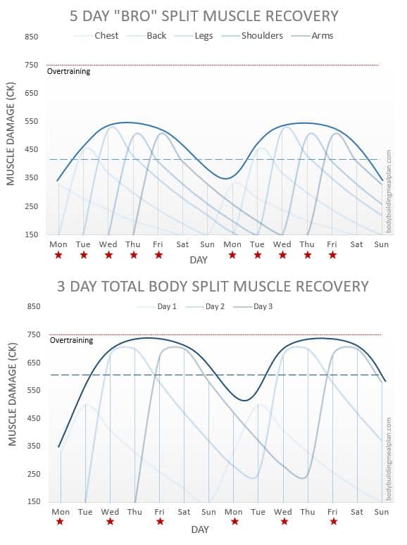 High-Intensity Resistance Training Split