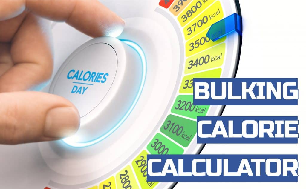 bulking calorie calculator