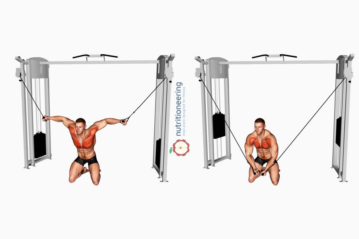 Cable Chest Exercises Kneeling Fly