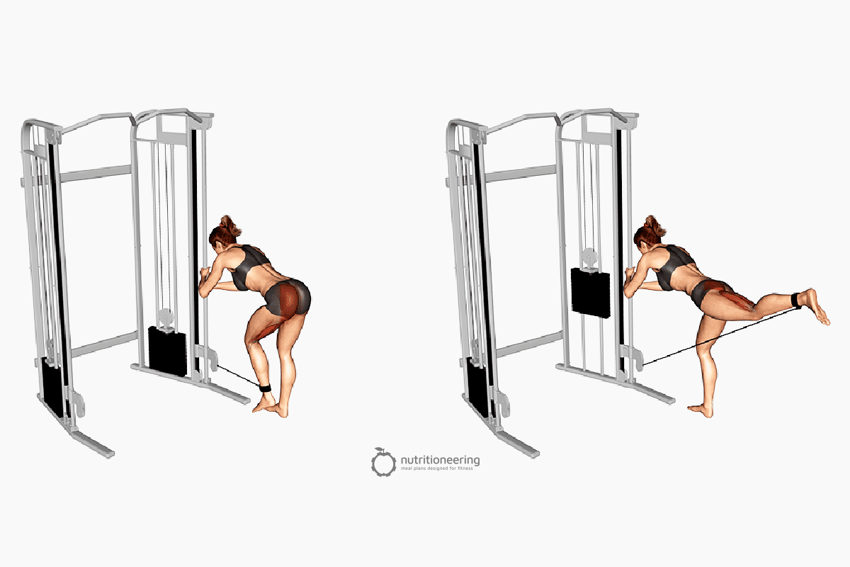 Cable Glute Kickbacks