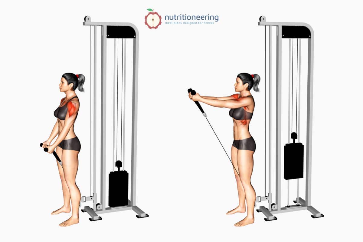 Cable Rope Front Raise