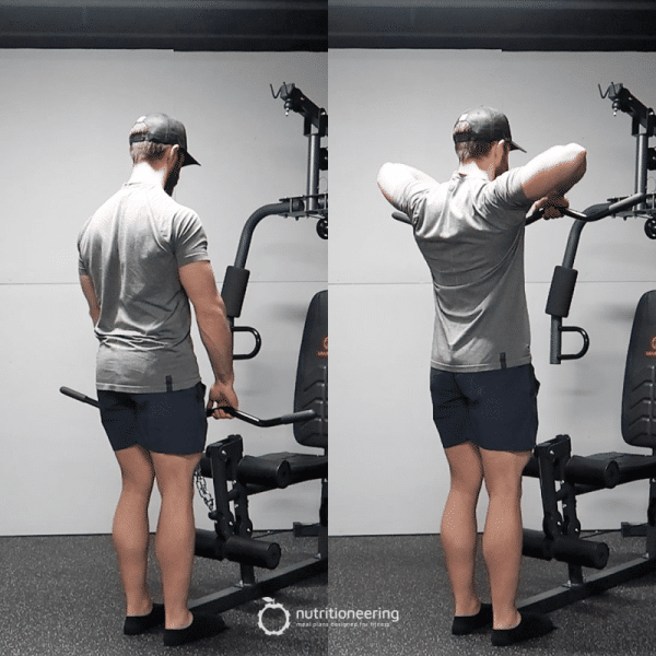Best Way to Do a Cable Upright Row With YouTube Video