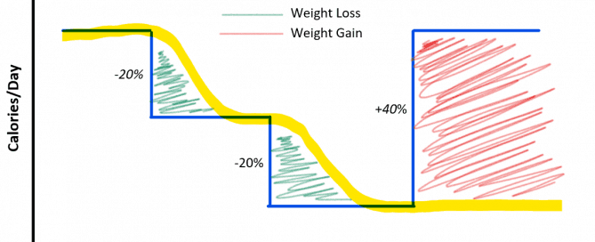 Calorie Deficit Graph II