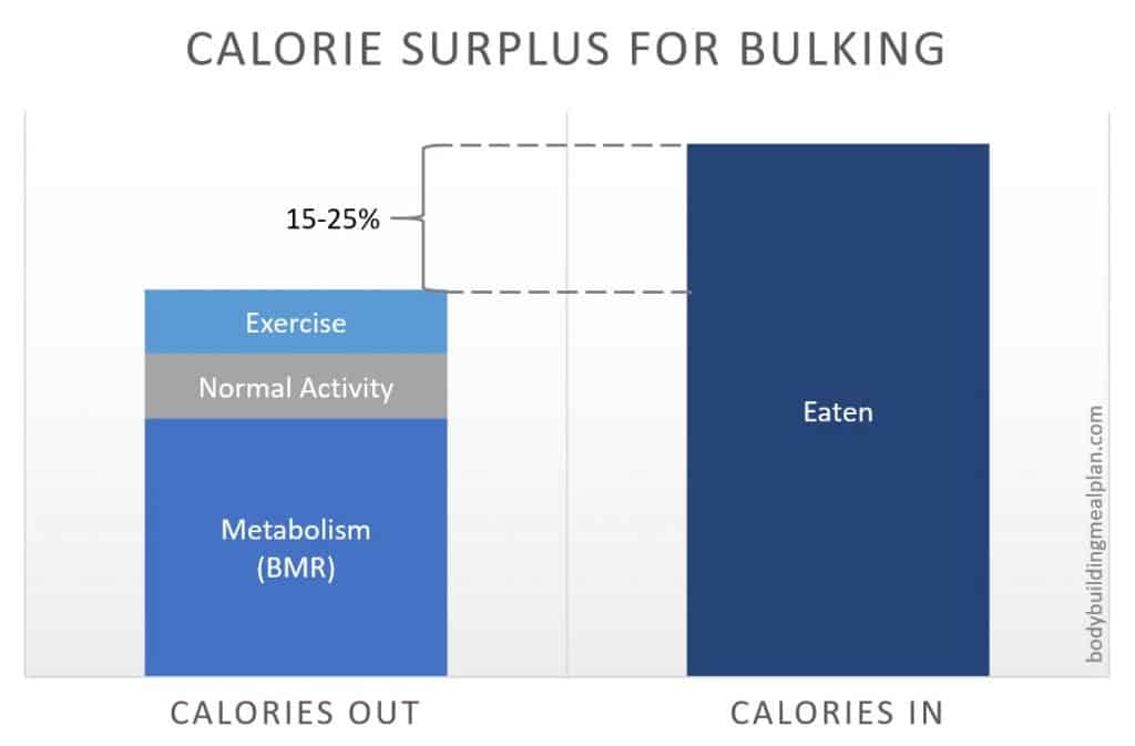 Calorie Surplus For Bulking II
