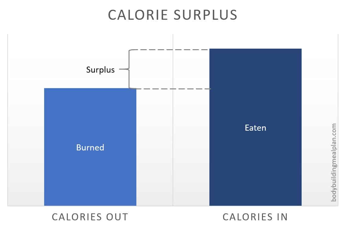 Calorie Surplus Calorie Surplus