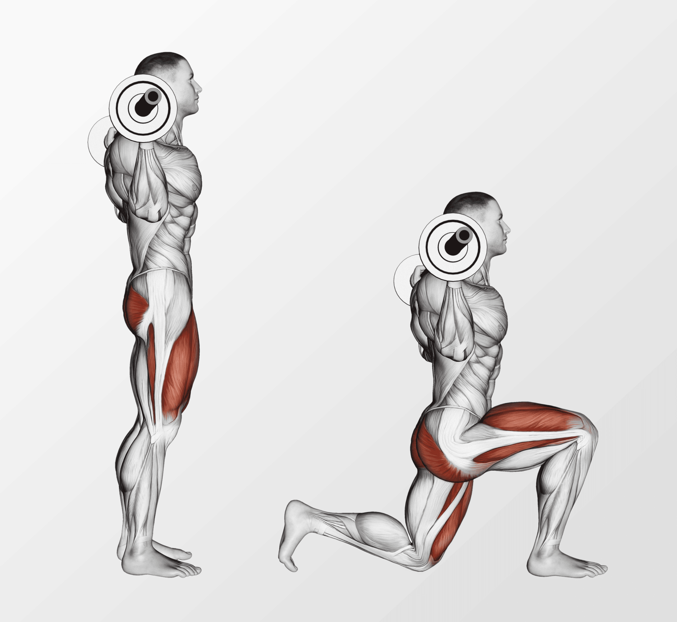 Compound Leg Exercises Barbell Lunges