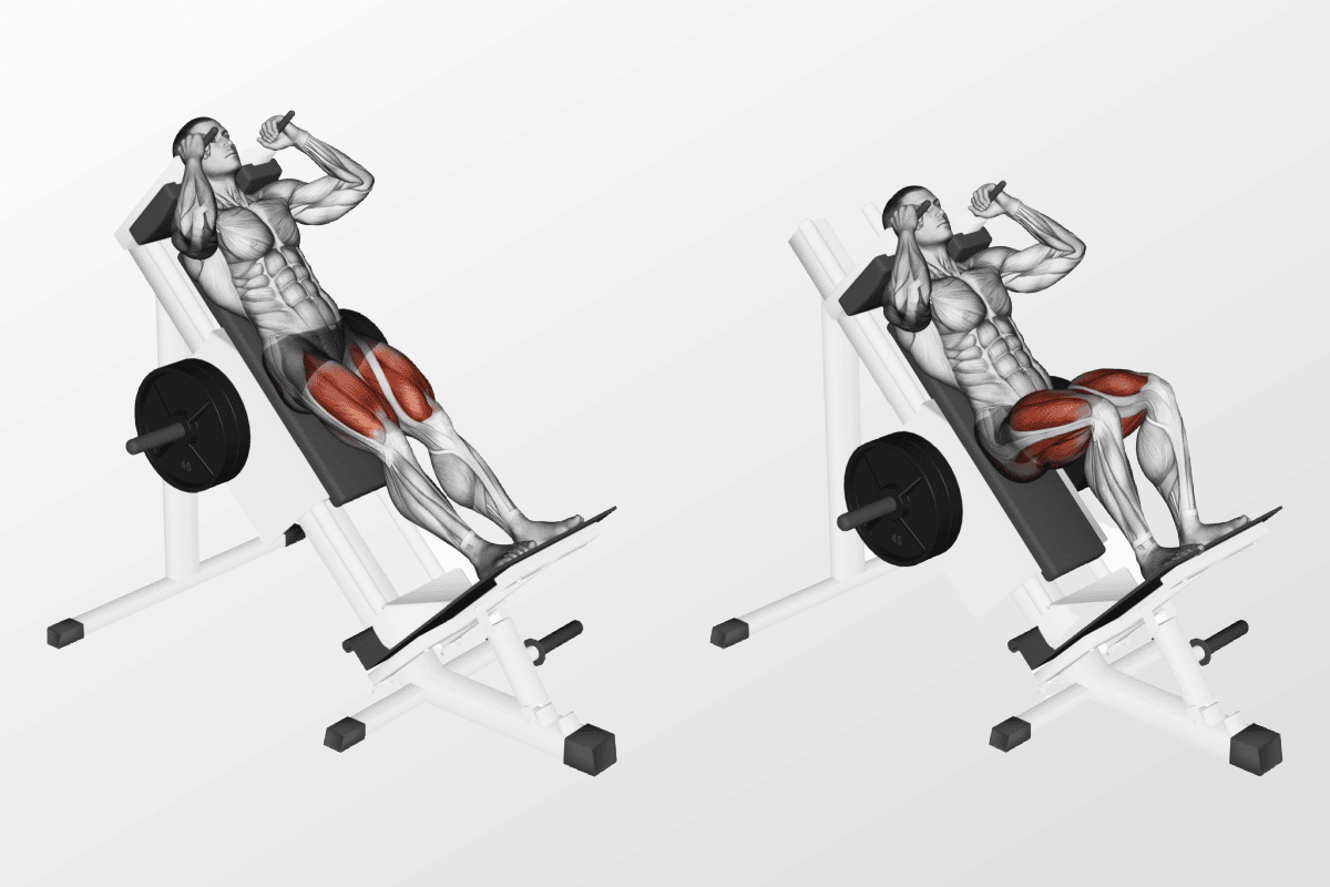 Compound Leg Exercises Hack Squats