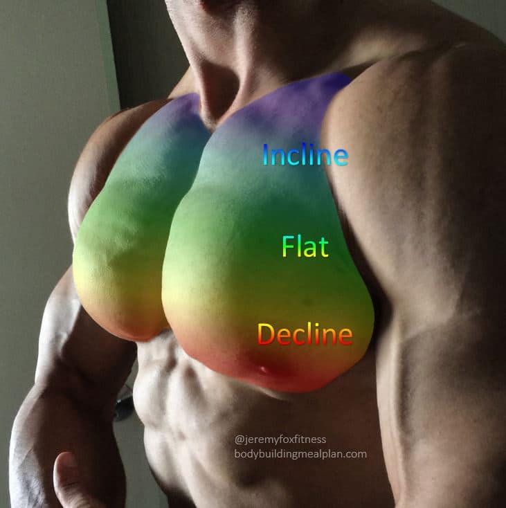 How to Build Chest Muscle