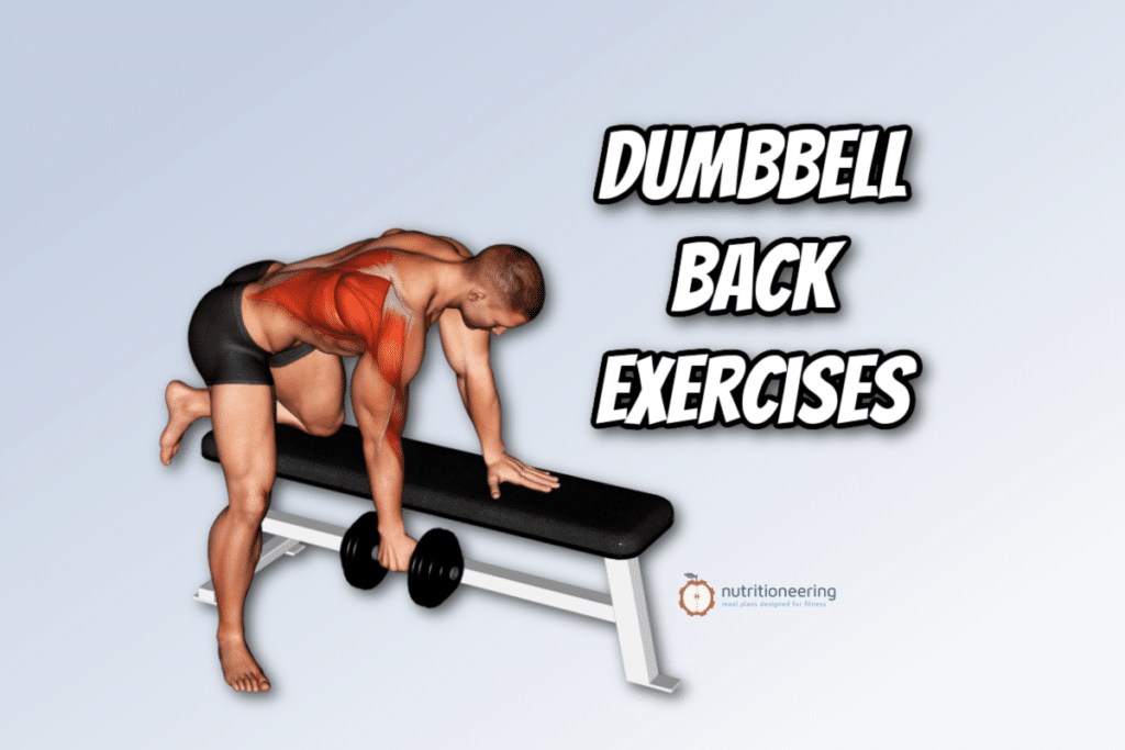 Dumbbell Back Exercises
