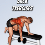 Dumbbell Back Exercises Pinterest