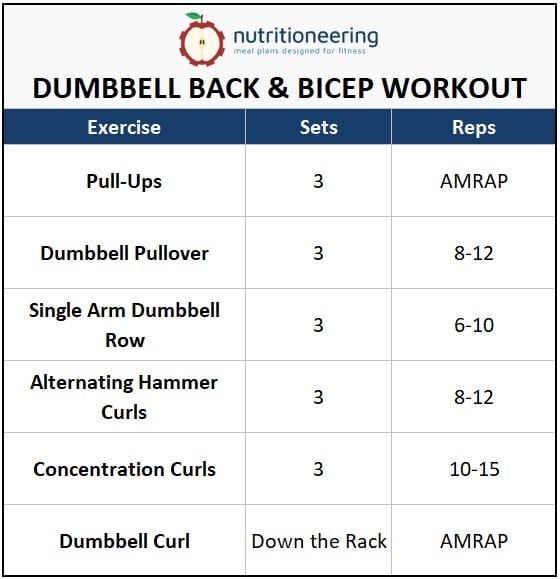 Dumbbell Back and Bicep Workout Example