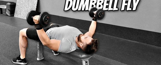 Dumbbell Fly Cover