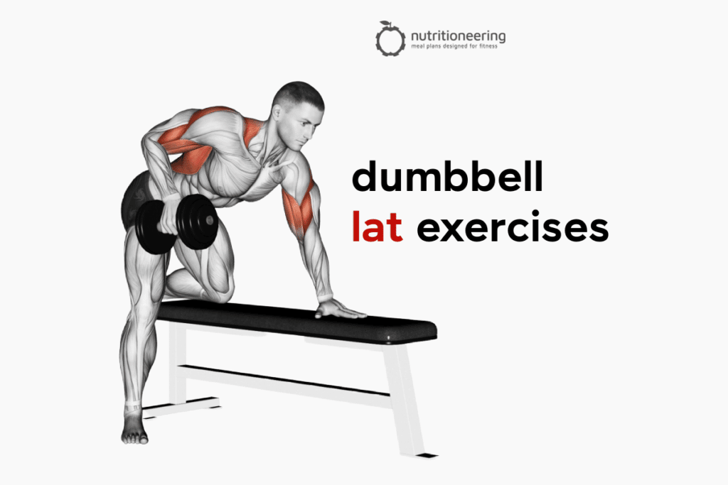 Dumbbell Lat Exercises
