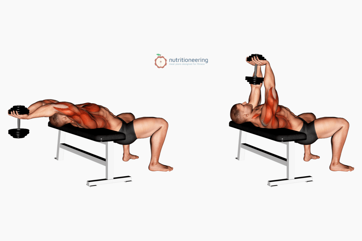 Dumbbell Pullover Muscles Worked 2