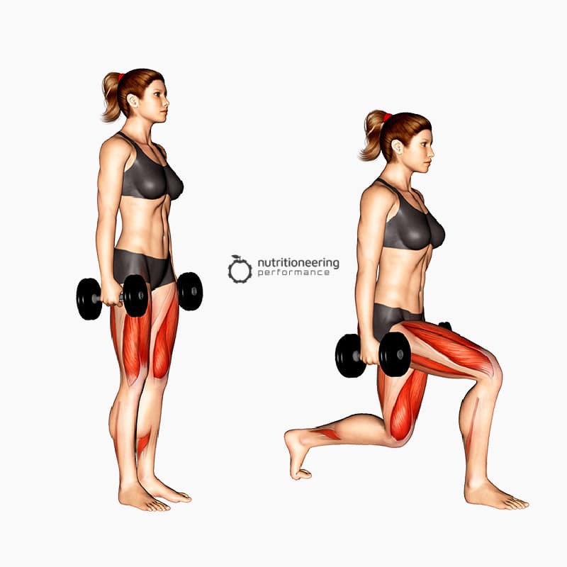 Dumbbell Quad Exercises Lunge