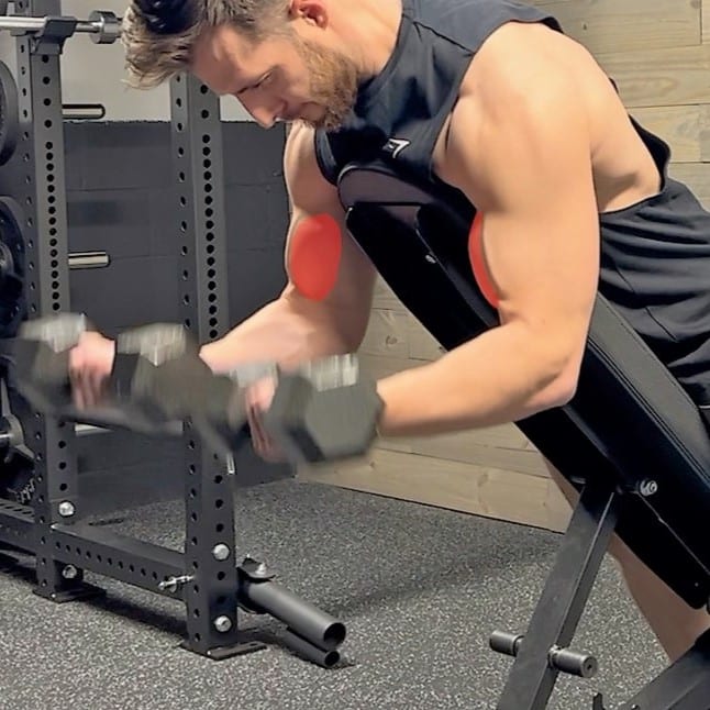 Dumbbell Spider Curl Muscles