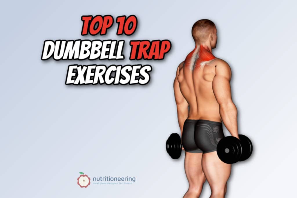 Dumbbell Trap Exercises Cover