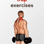 Dumbbell Trap Exercises Pinterest