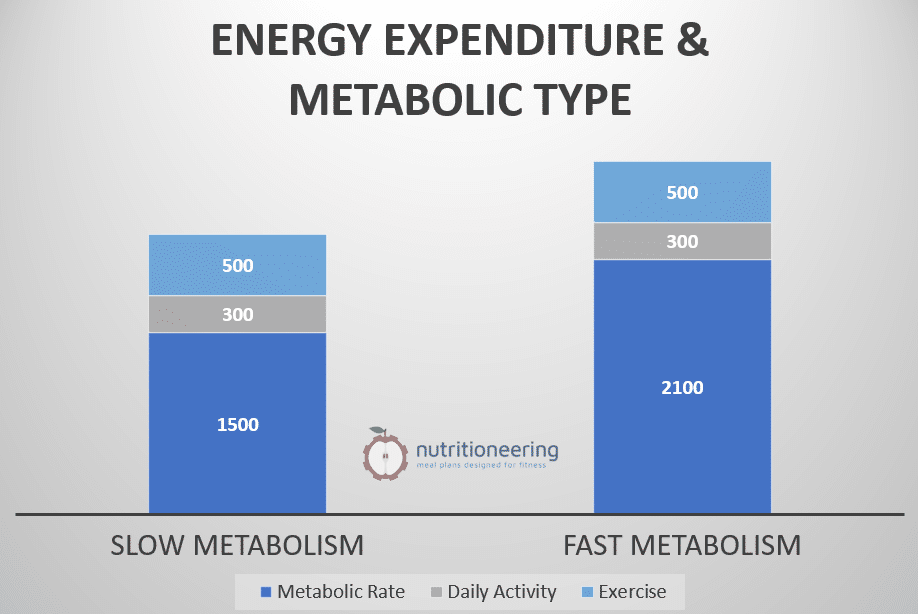 Energy Expenditure and Metabolic Type
