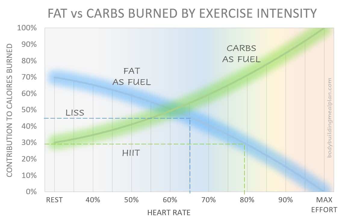 Fat vs Carbs Burned During Exercise Fat vs Carbs Burned During Exercise