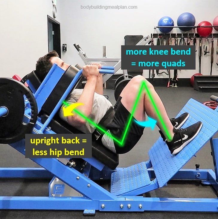 Hack Squat Alternatives Body Mechanics