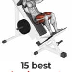 Hack Squat Alternatives Pin