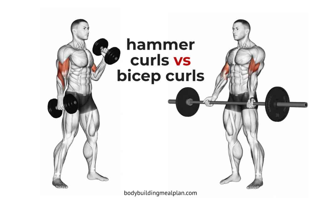 Hammer Curls vs Bicep Curls Cover