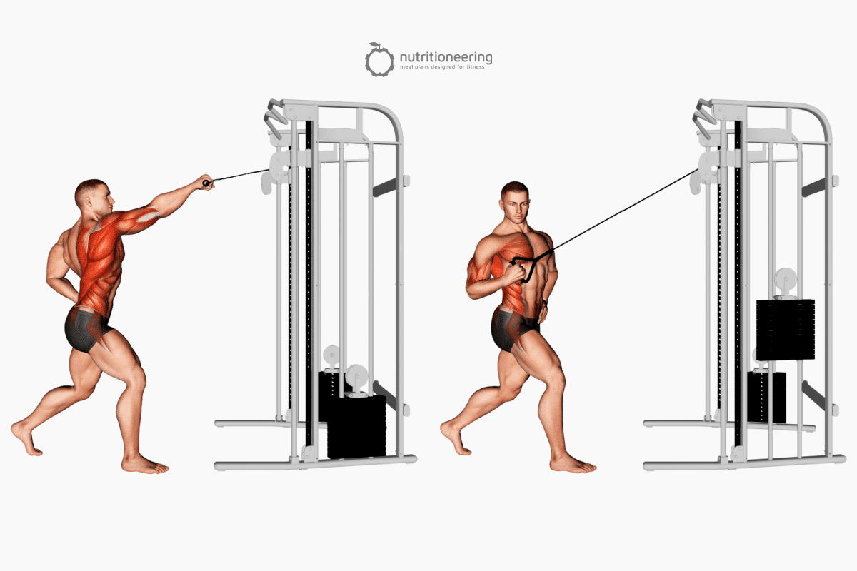 High Row Machine Alternative Standing Single Cable Row