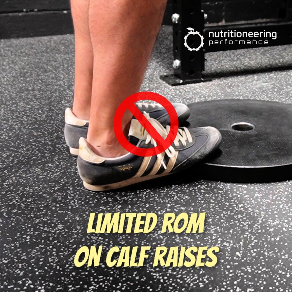 Home Gym Calf Raise Weight Plate