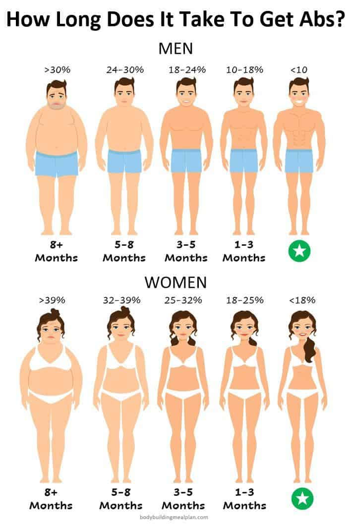 Body Fat Percentage Calculator for Abs