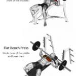Incline Bench Press vs Flat Bench Press Muscles Worked