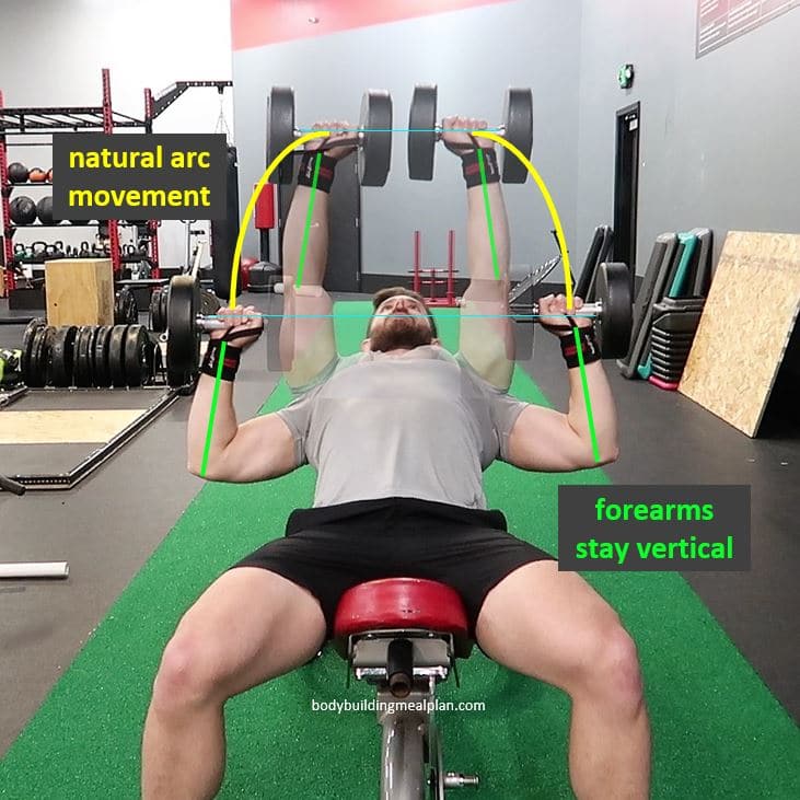 Incline Dumbbell Press Form Incline Dumbbell Press Form